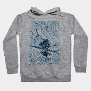 Resonance - little Bird Hoodie